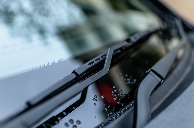 windshield wiper